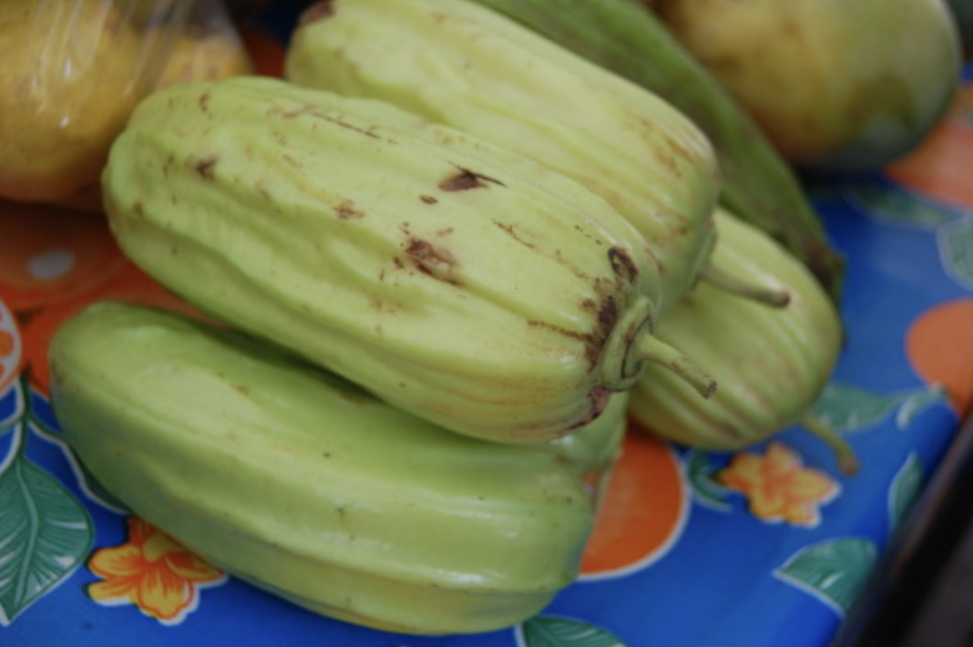 Fruits of the Yucatan