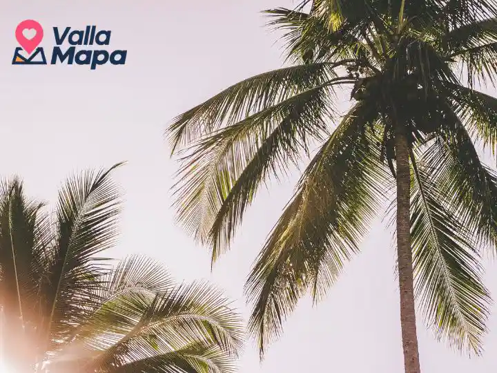 ¿Qué hacer en el verano en Valladolid?