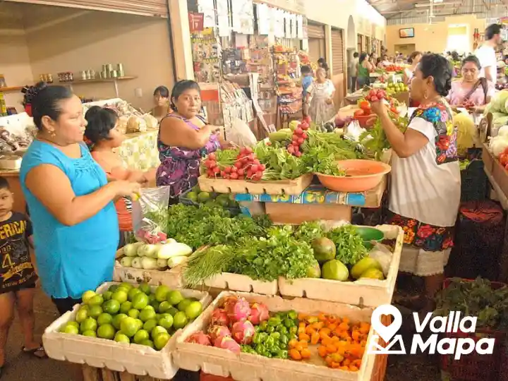 Vivir en Valladolid