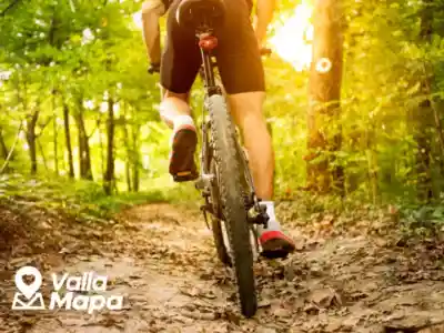Cycling route near Valladolid, Yucatan, with trees, quiet road and access to nearby villages