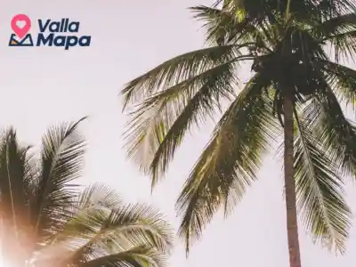 ¿Qué hacer en el verano en Valladolid?